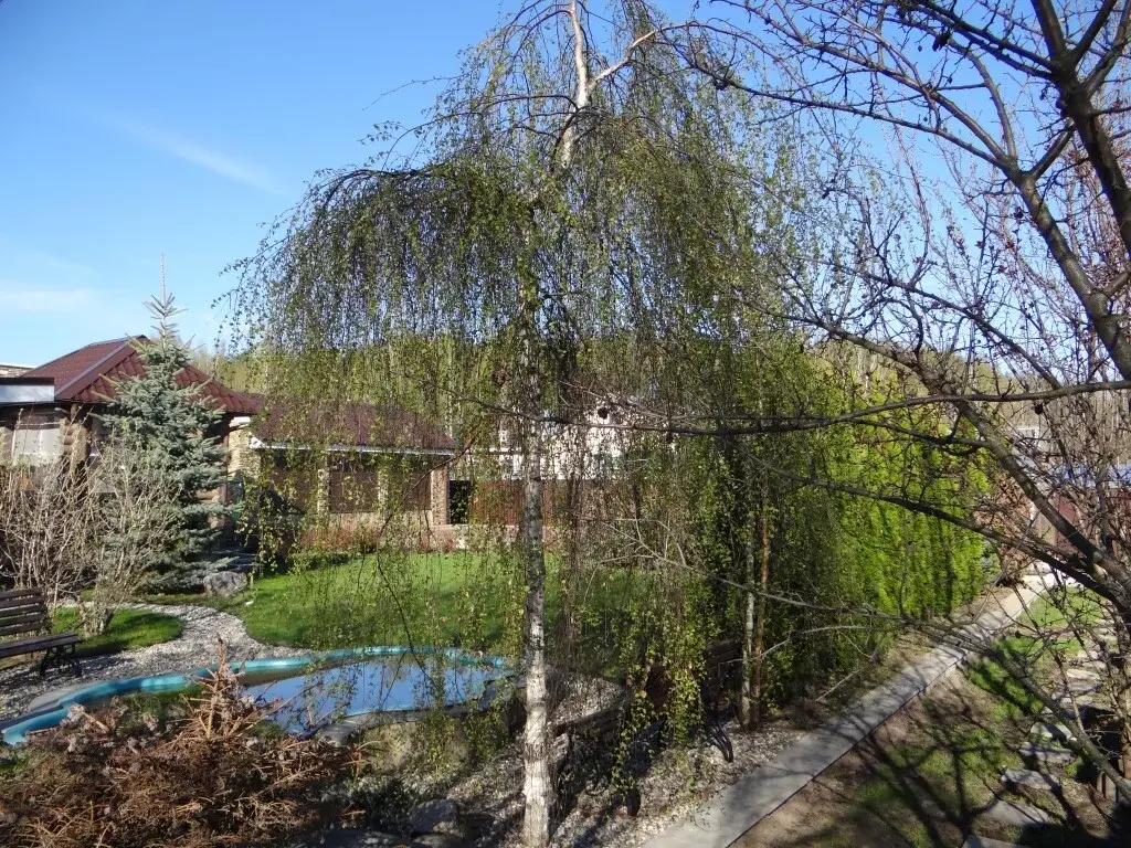 Дом в г. Кимры Тверскаая обл. рядом с лесом и рекой Волга - Фото 7