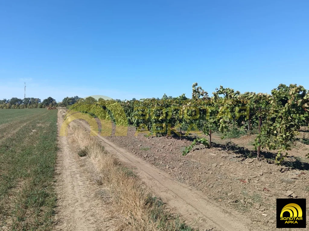 Продажа участка, Старотитаровская, Темрюкский район, Ильича пер. - Фото 11