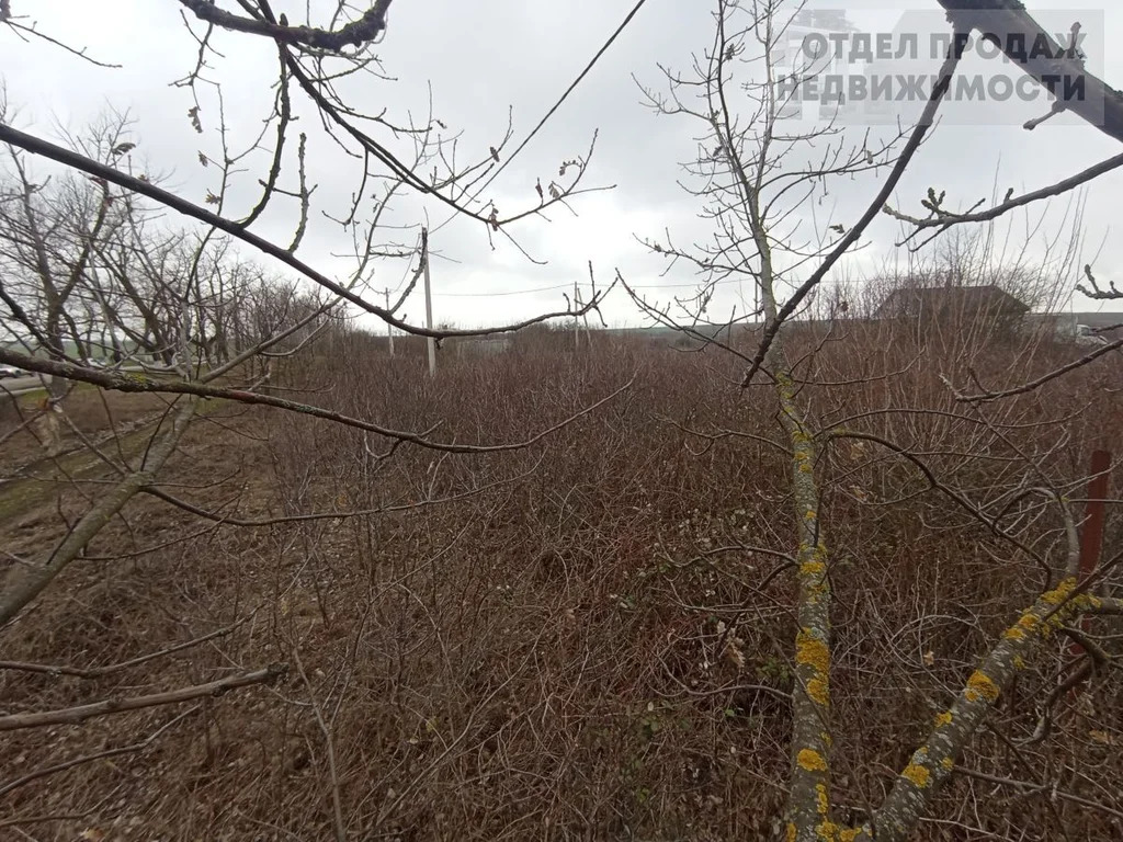 Участок - Фото 9