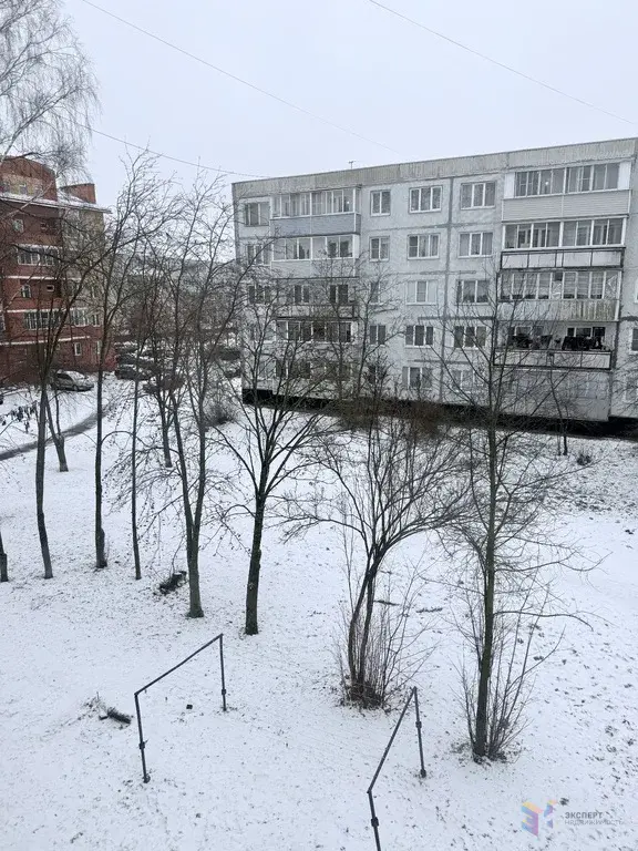 Продам 2-х комнатную квартиру с. Березнецово Ступинский район. - Фото 6