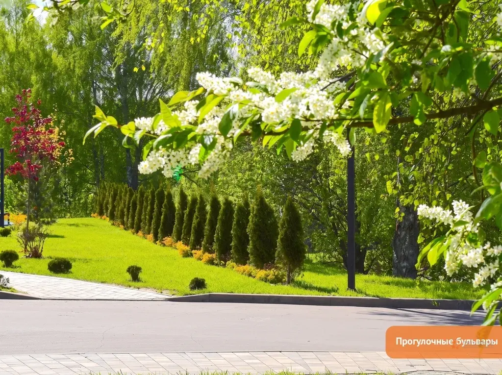 Продается участок 10 соток Петровское парк - Фото 15