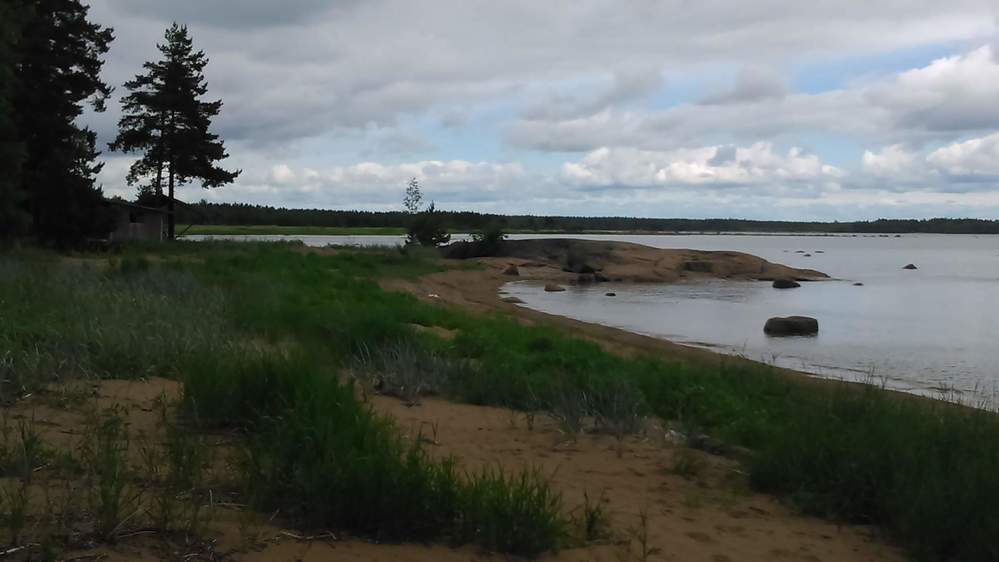 Большой бор выборгский район финский залив. П большой бор. Поселок большой бор выборгский район. Большой бор выборг пляж. Белое море онега.
