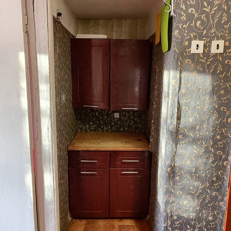 Продам студию в Истре - Фото 3