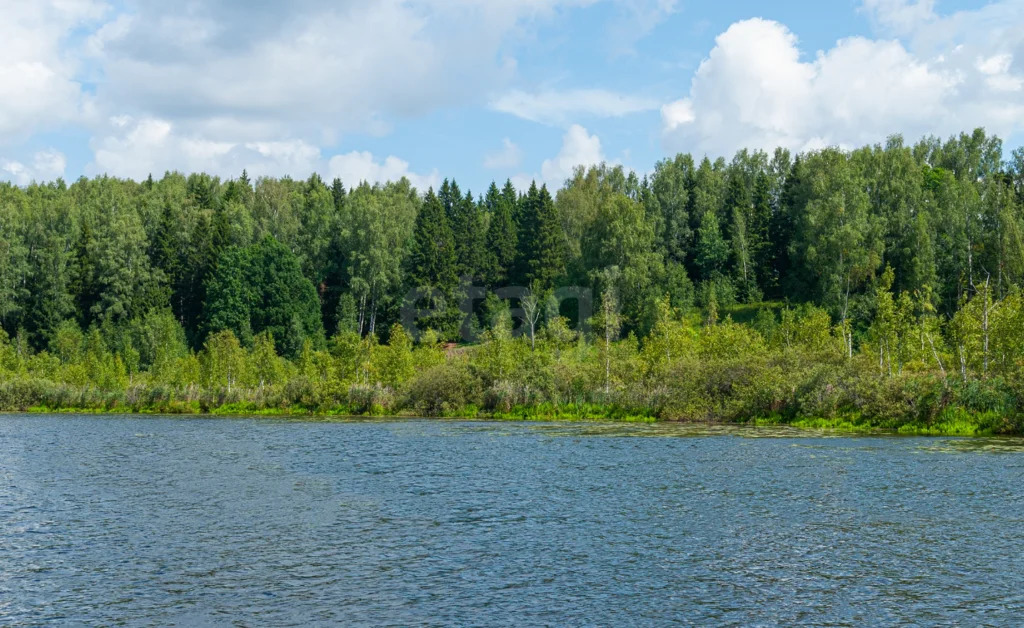 Продажа участка, Татаринки, Шаховской район - Фото 0