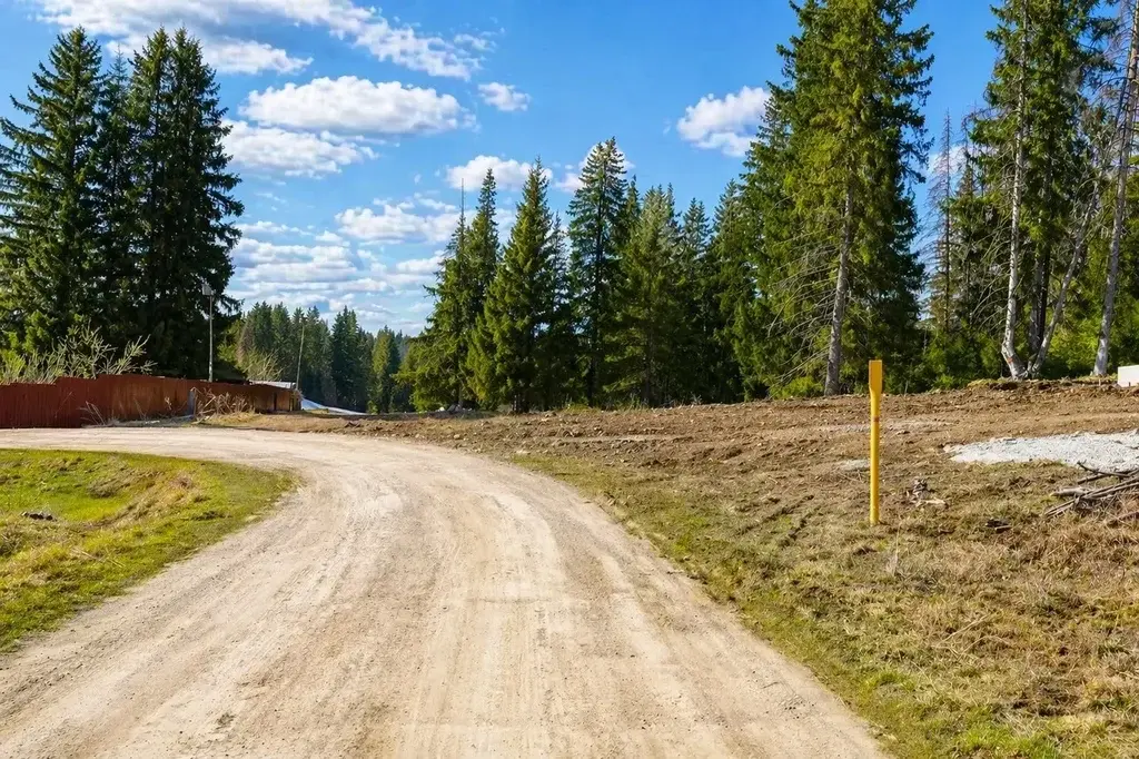 Земельный участок по ул. Труда - Фото 7