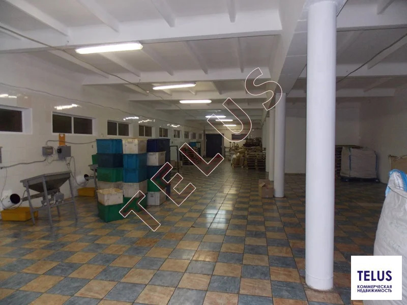 МО, Электросталь г.о., Новые Дома пос., 4000 м2, Пищевое производство ... - Фото 10