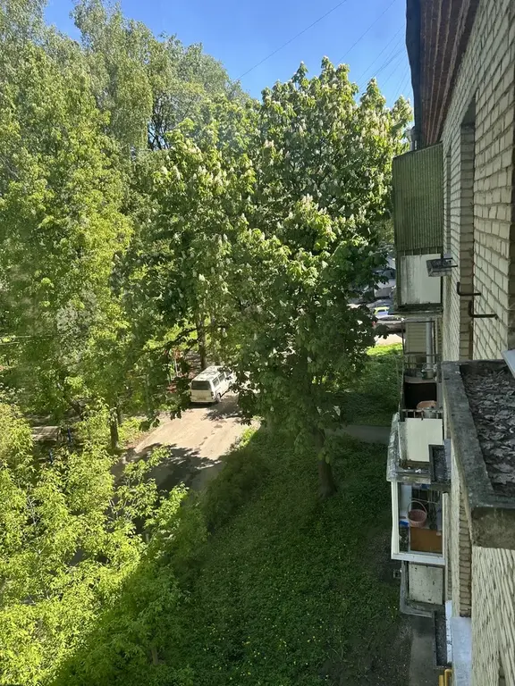 Комнату 17 кв.м в кирпичном доме рядом с м.Ботанический Сад - Фото 10