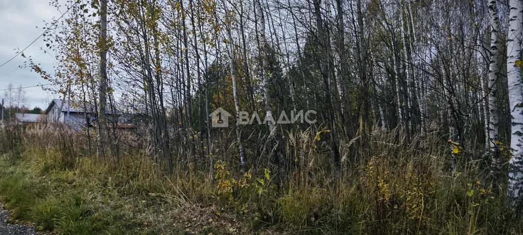 городской округ Владимир, Владимир, Октябрьский район, микрорайон ... - Фото 2