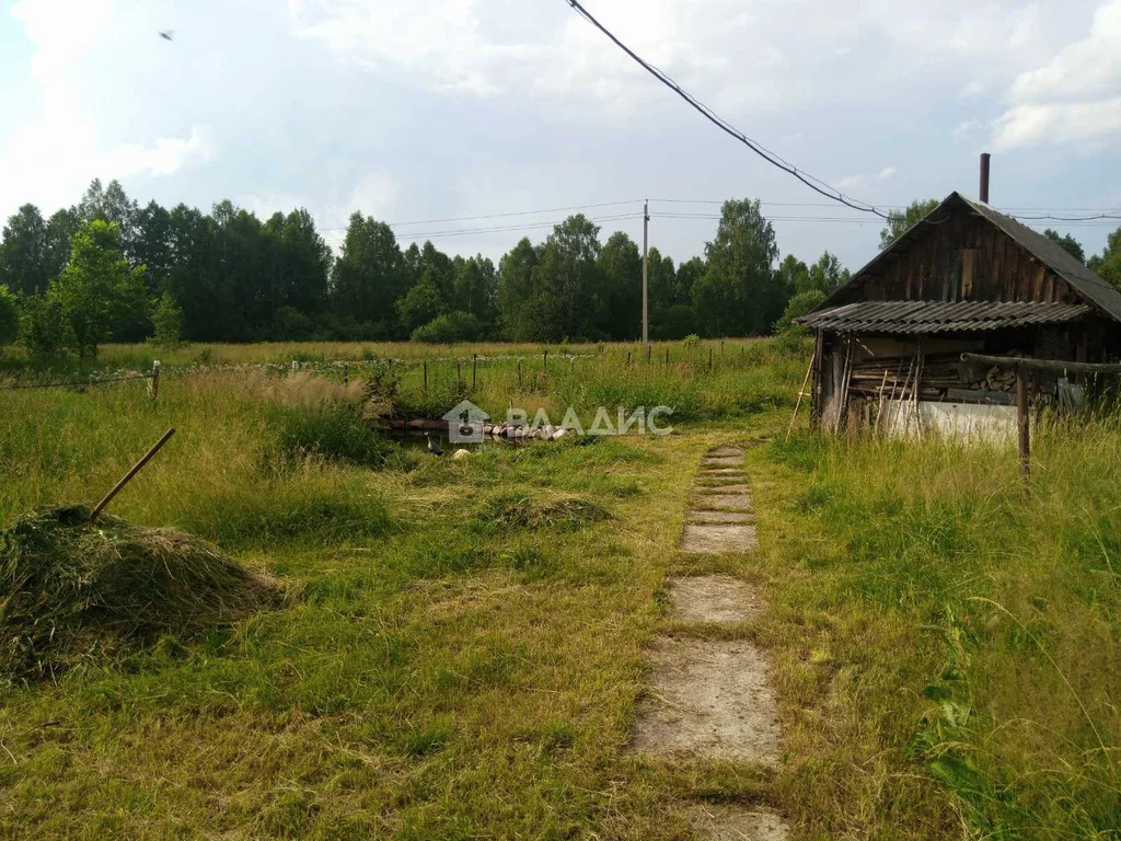 городской округ Семёновский, деревня Шалдеж, улица Красный Краек,  дом ... - Фото 5