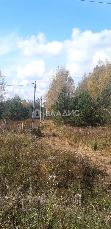 Суздальский район, село Баскаки,  земля на продажу - Фото 4