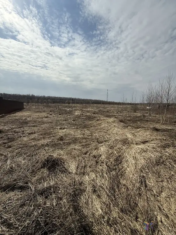 Продаю участок 12 соток под ПМЖ, д. Беспятово, Ступинский район. - Фото 5