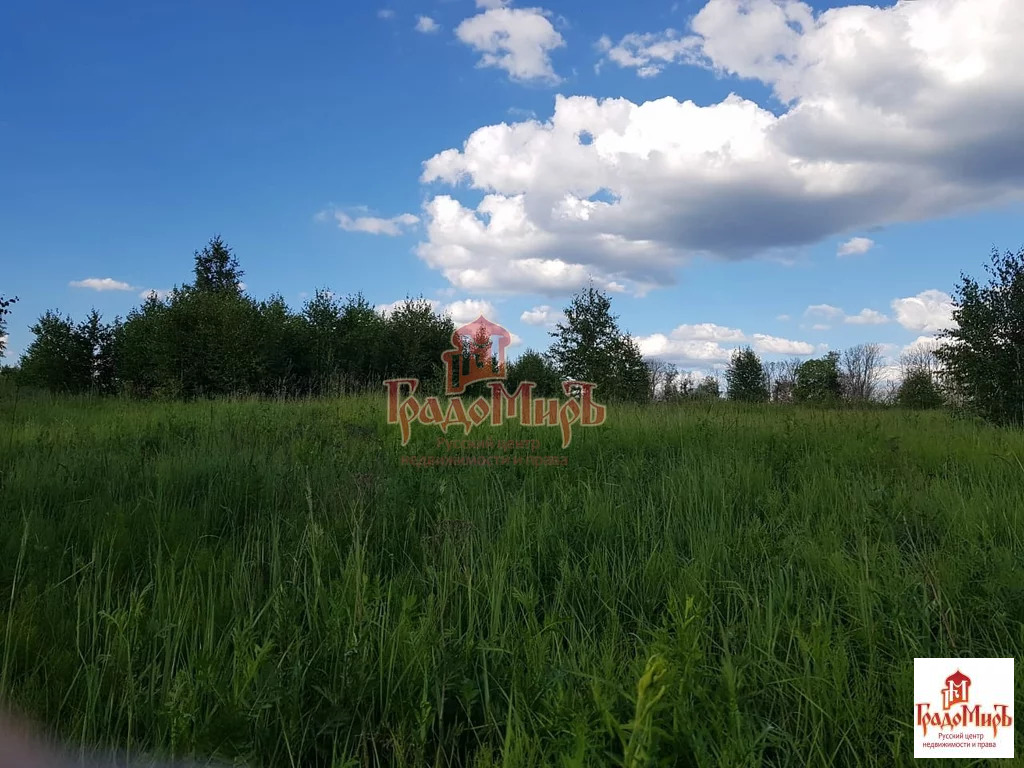 Продажа участка, Дмитров, Дмитровский район, Новое Сельцо д. - Фото 6