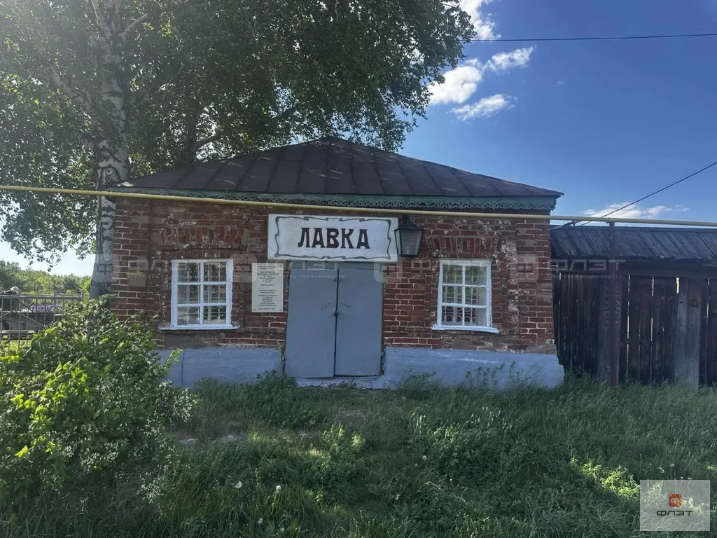 Продажа участка, Красновидово, Камско-Устьинский район, ул. Школьная - Фото 11