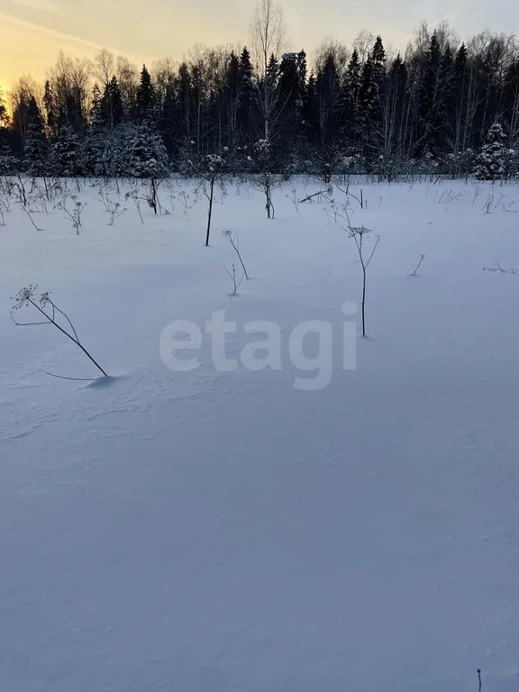 Продажа участка, Холмы, Истринский район - Фото 3