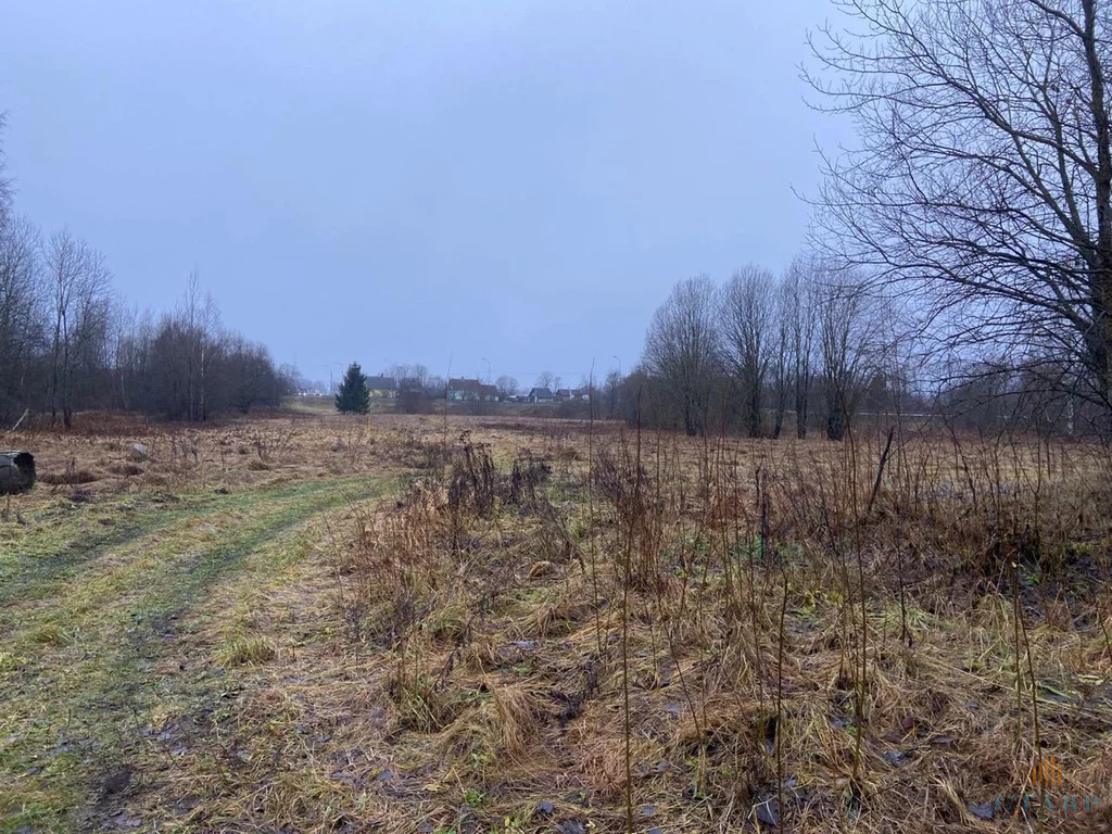 Продажа участка, Большие Озертицы, Волосовский район, деревня Большие ... - Фото 8