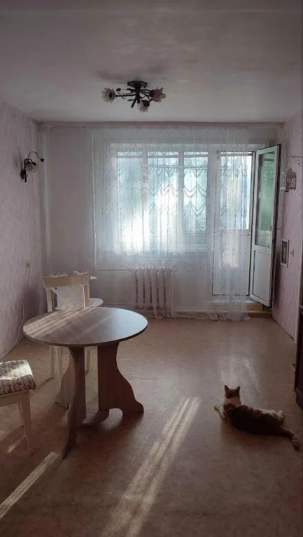 Продажа квартиры, Новосибирск, ул. Российская - Фото 5