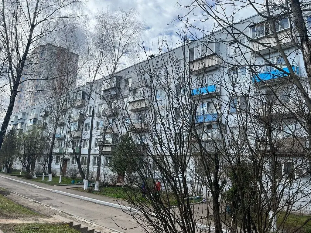 Трехкомнатная квартира в Дедовске. - Фото 11