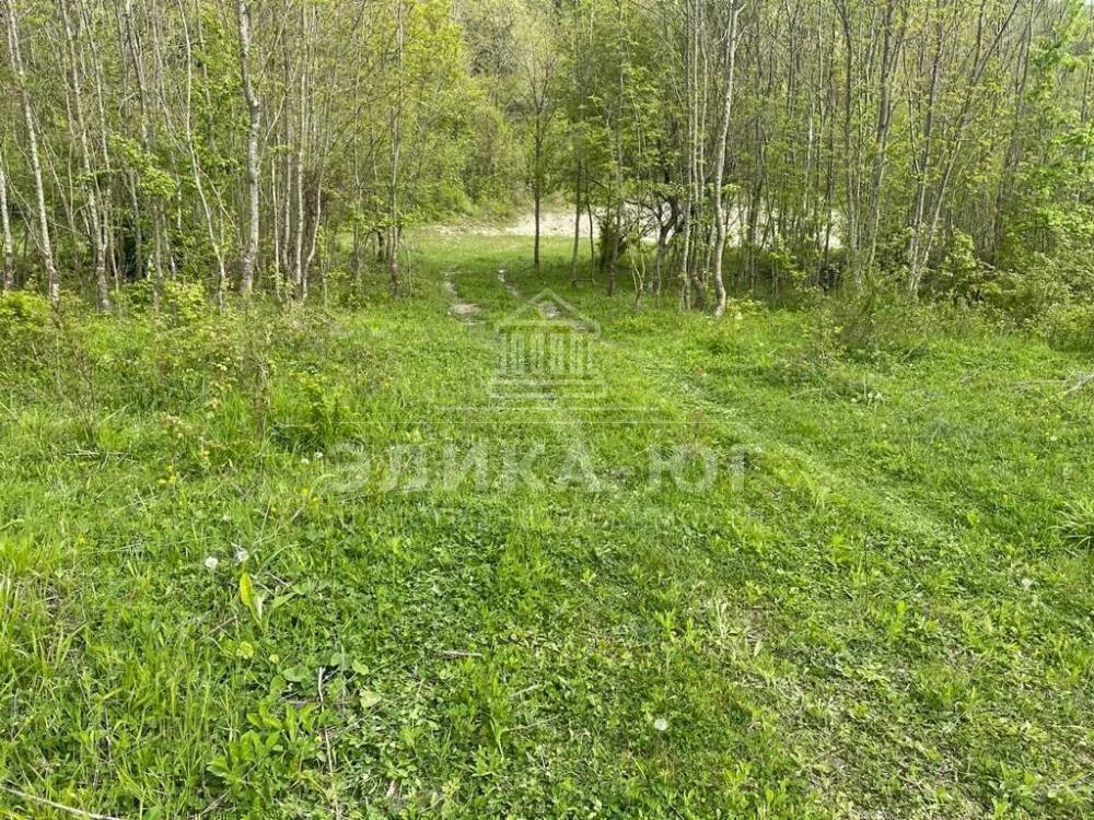 Продажа участка, Джубга, Туапсинский район, Персиковая ул. - Фото 3