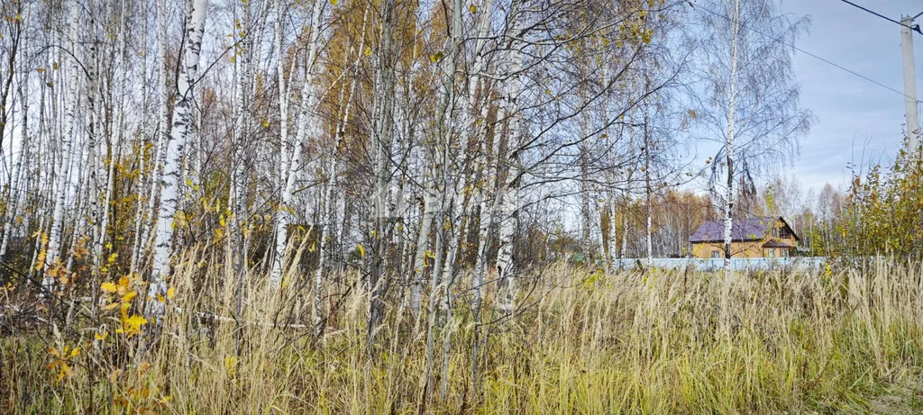 городской округ Владимир, Владимир, Октябрьский район, микрорайон ... - Фото 1