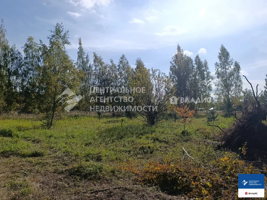 Продажа участка, Рязанский район, садоводческое товарищество ... - Фото 12