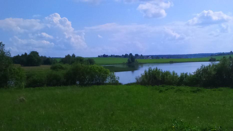Деревня сальково рязановское поселение. Д сальково. Московская область деревня сальково. Сальково кировоградская область. Деревня сальково звенигород.