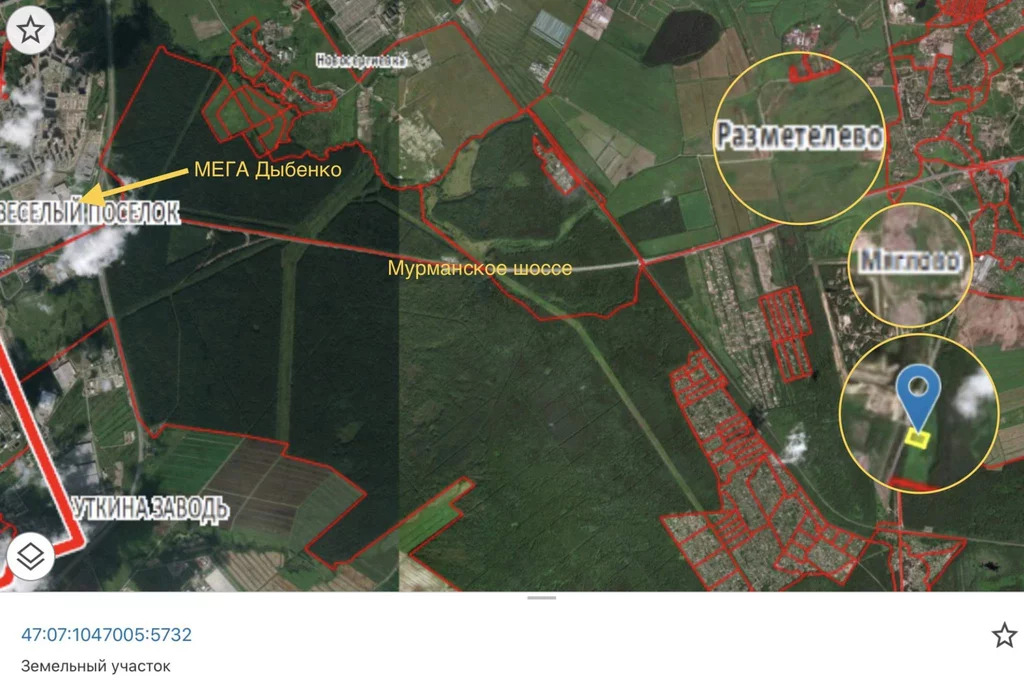 Кадастровая карта публичная ленинградской области всеволожский район разметелево