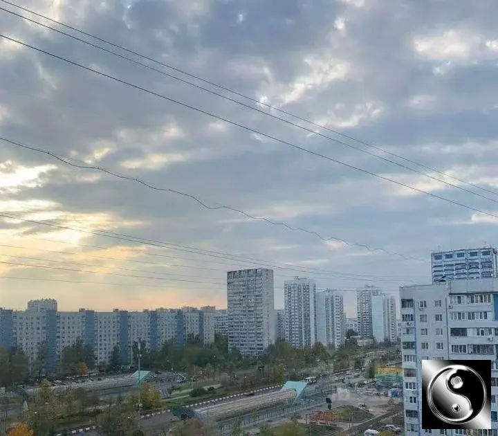Сдам двухкомнатную квартиру 55.0м Строгинский бул., 17К1, Москва, ... - Фото 20