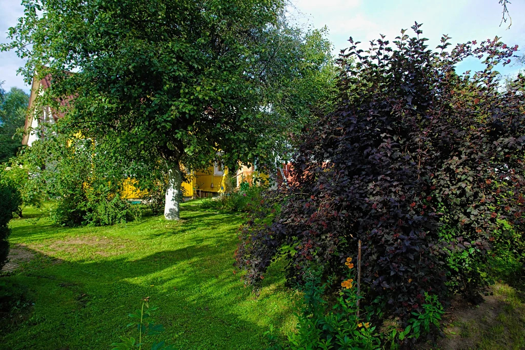 Продажа таунхауса, Загорянский, Щелковский район, улица Николая ... - Фото 15