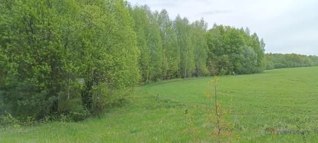 Продажа участка, Свобода, Вадский район - Фото 3