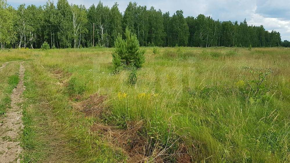 Купить Землю Сельхозназначения В Вологодской Области