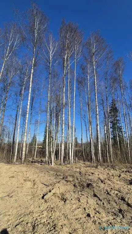 Продается ЗУ в собственности в ТСН "Вымпел" - Фото 6