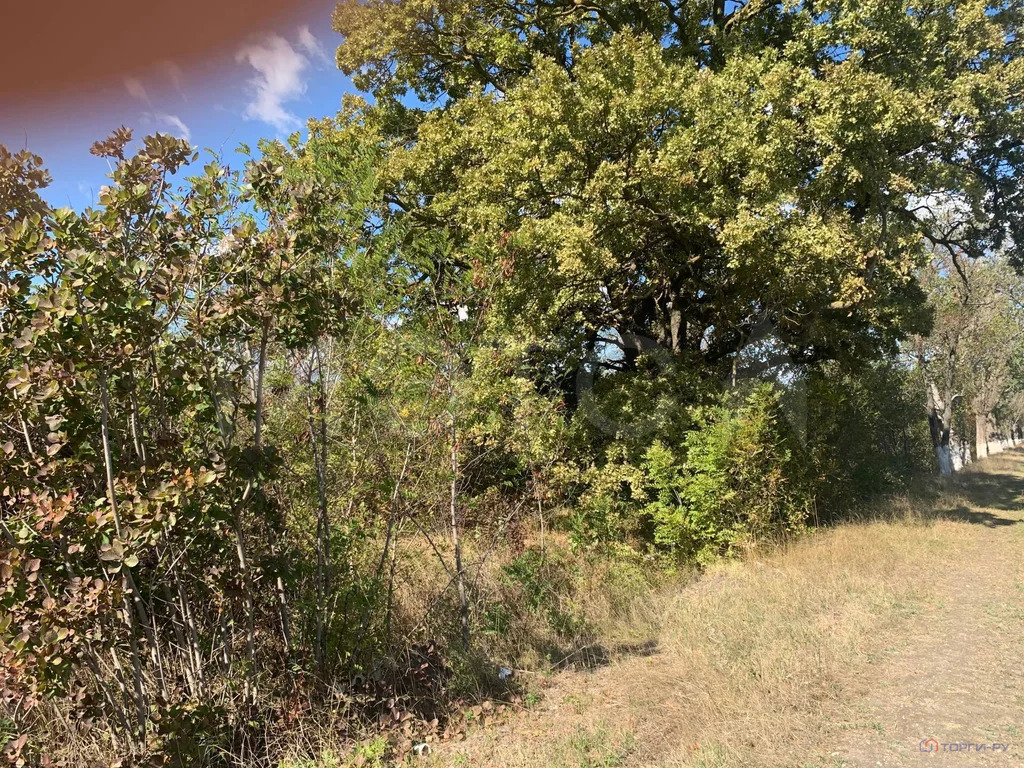 Продажа участка, Новороссийск - Фото 5