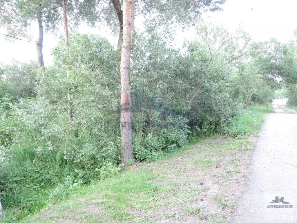 Продажа, участок 24.80 соток - Фото 3