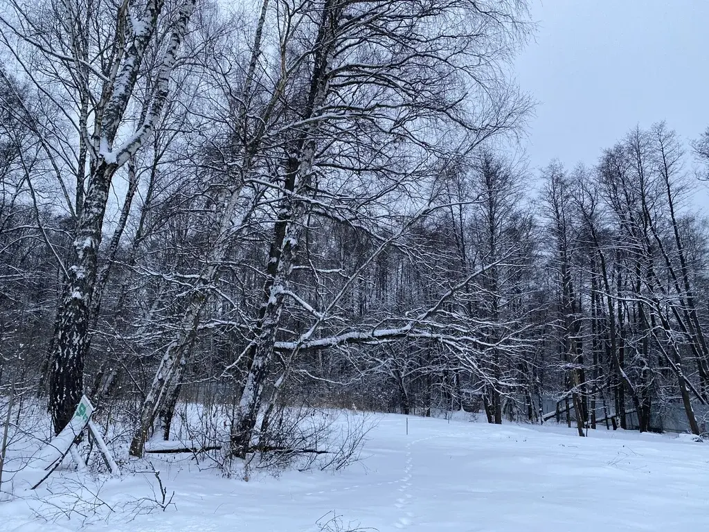 Лесной участок в коттеджном посёлке, 21 сотка, Финская деревня - Фото 3
