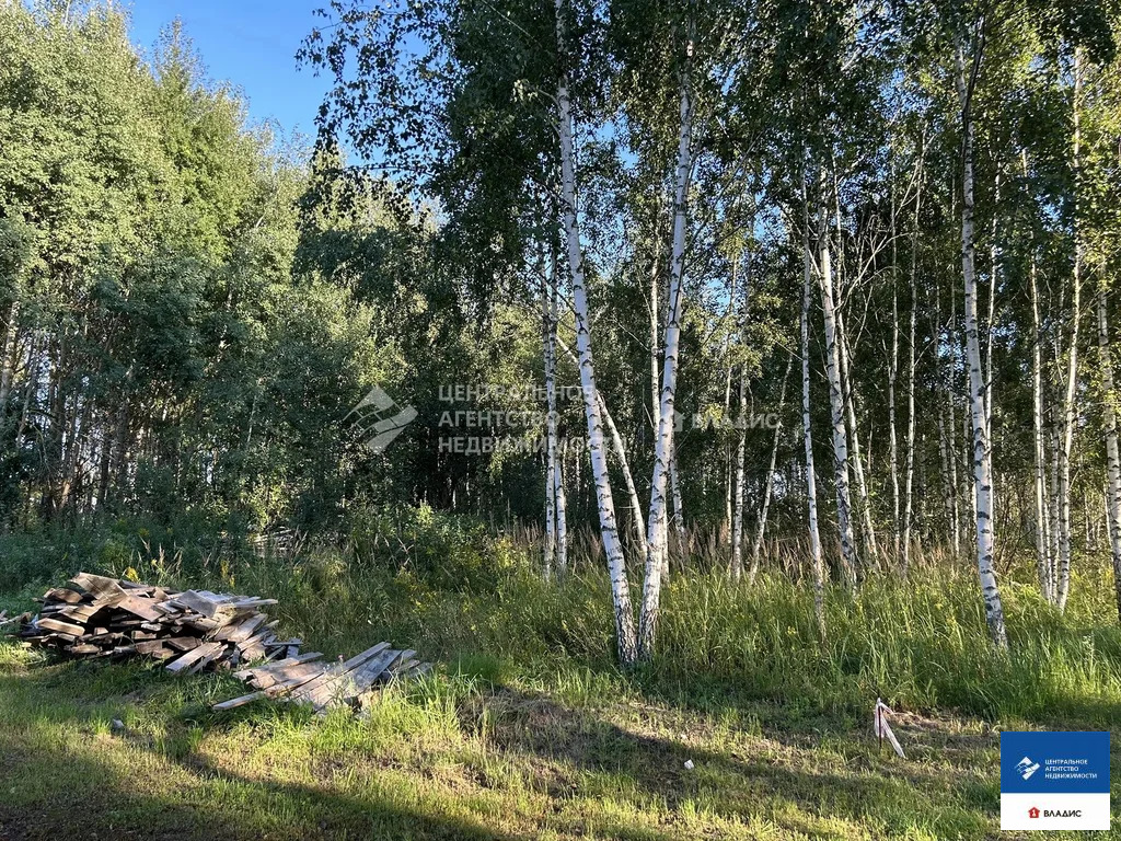 Продажа участка, Дубровичи, Рязанский район - Фото 9