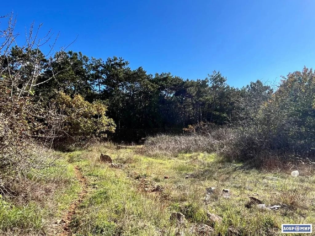 Продается Участок - Фото 5