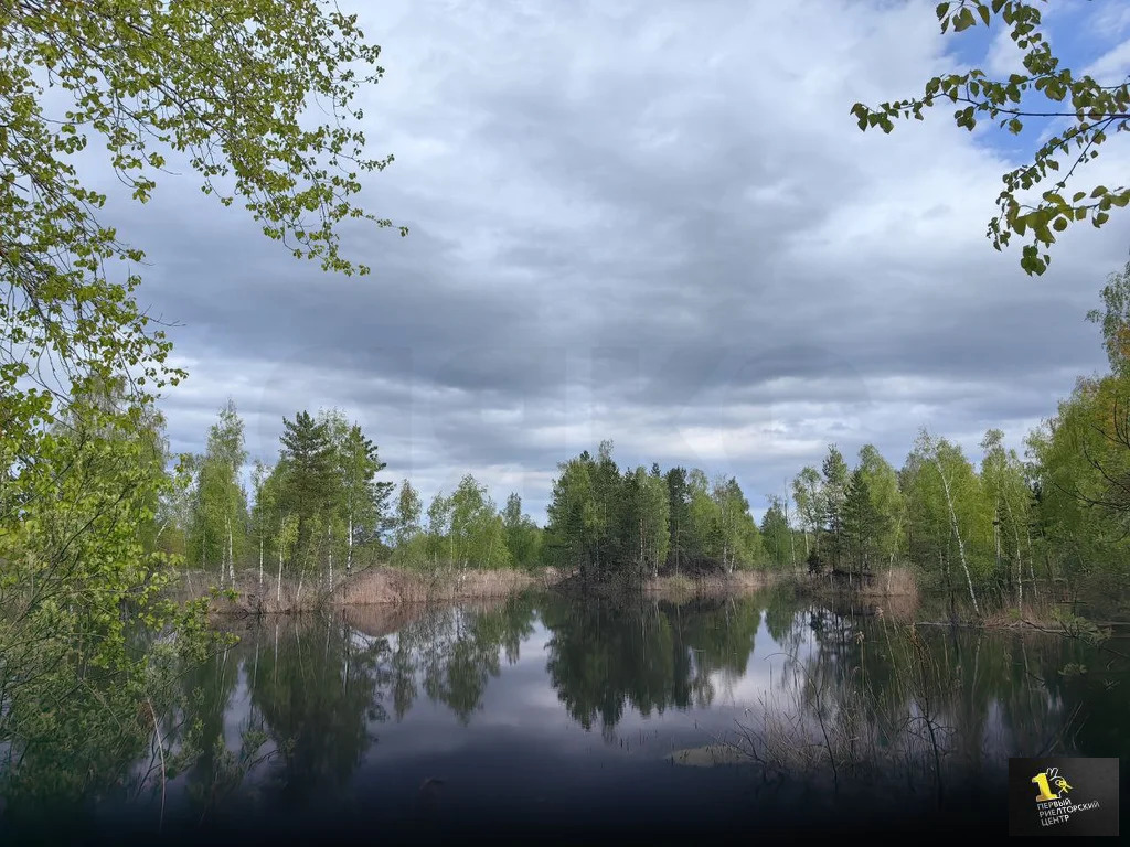 Продажа дома, Воскресенский район, Спецстроевец тер. СНТ. - Фото 13