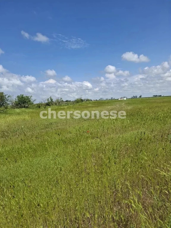 Продажа участка, Равнополье, Симферопольский район, ул. Калинина - Фото 2