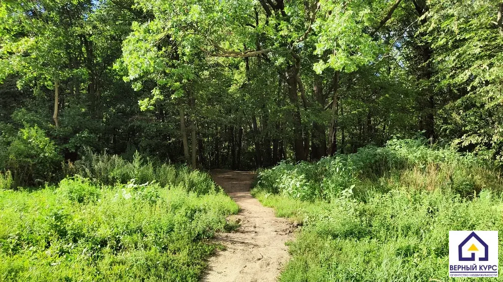 1-к. квартира, 43,7 м, 4/17 эт. - Фото 31