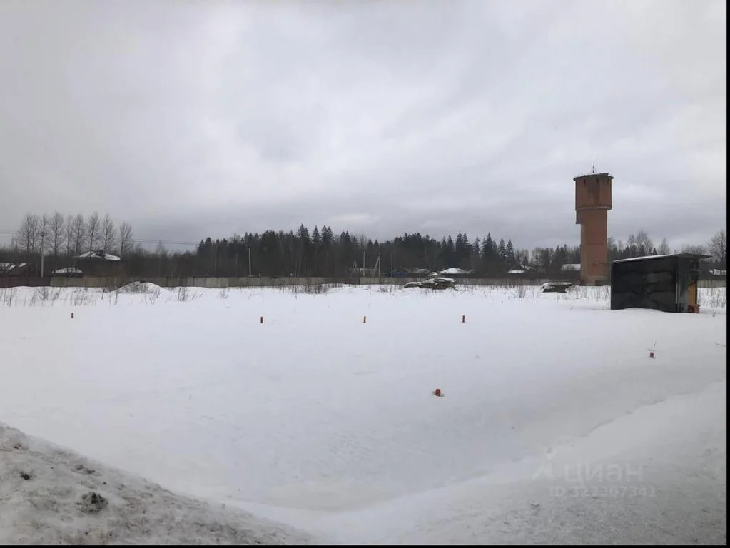 Продается земельный участок 200 сот. - Фото 3