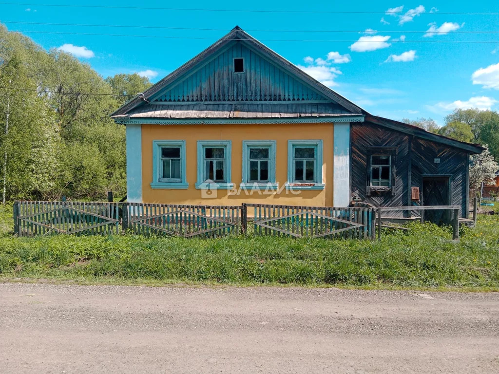 Дальнеконстантиновский муниципальный округ, деревня Большое Сескино, ... - Фото 1