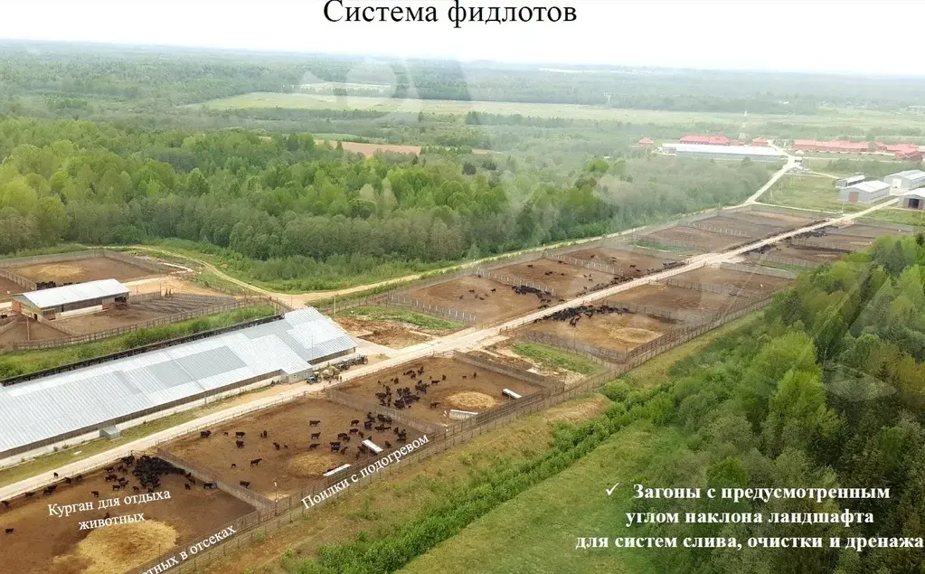 Вашему вниманию предлагаю от СОБСТВЕННИКА! Действующий живот-комплекс. - Фото 4