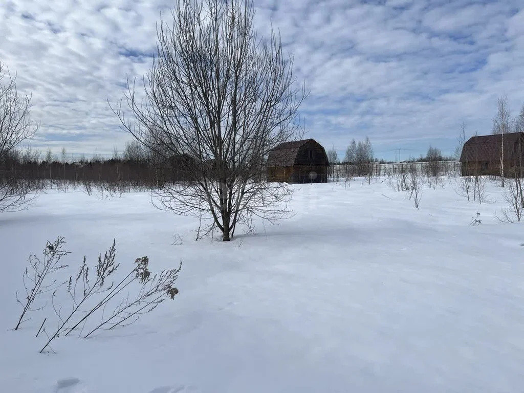 Продажа участка, Истринский район, СНТ Ламоново - Фото 14