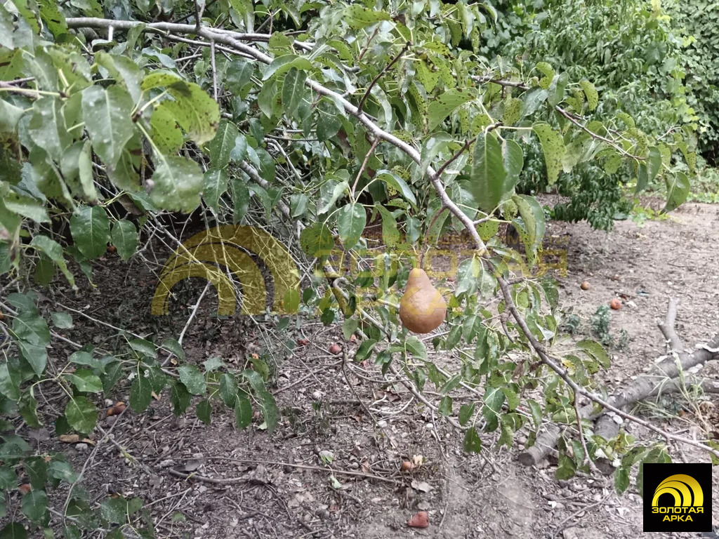 Продажа участка, Старотитаровская, Темрюкский район, ул. Кирова - Фото 3