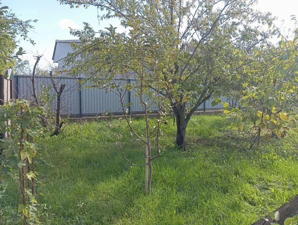 Продажа дома, Афипский, Северский район, ул. Первомайская - Фото 6