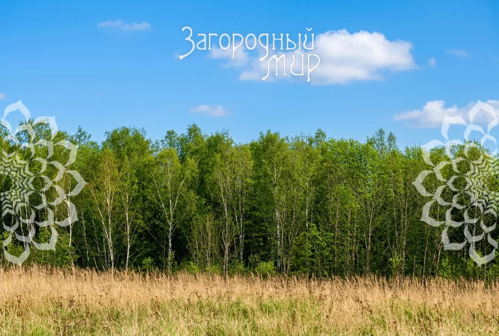 Продам участок, Калужское шоссе, 57 км от МКАД - Фото 6