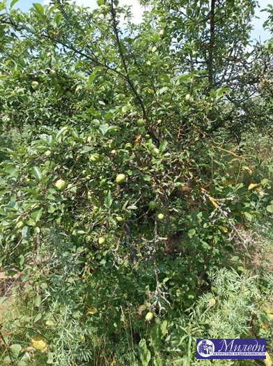 Продажа дома, Батайск, ул. 12 проезд улица - Фото 5