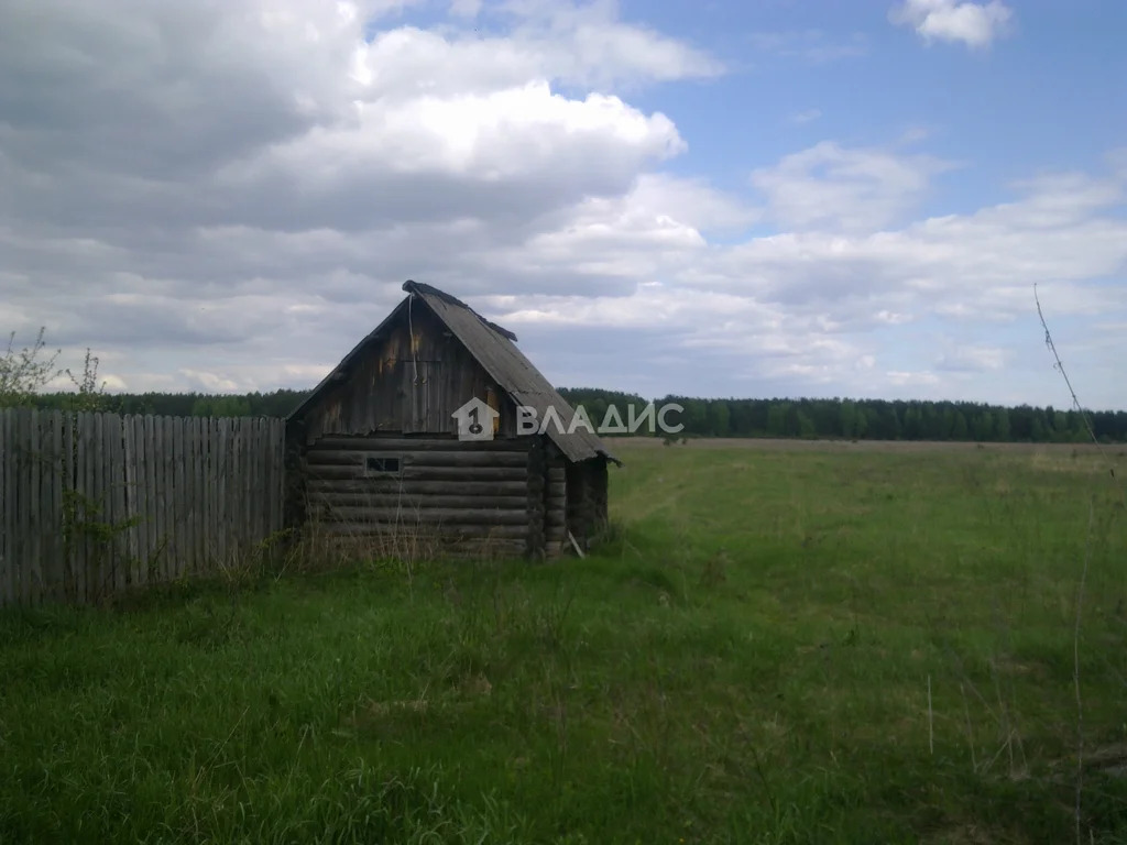 Гусь-Хрустальный район, село Тащилово, Центральная улица,  дом на ... - Фото 21