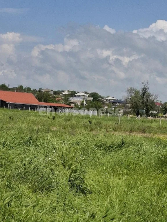 Продажа участка, Равнополье, Симферопольский район, ул. Калинина - Фото 1