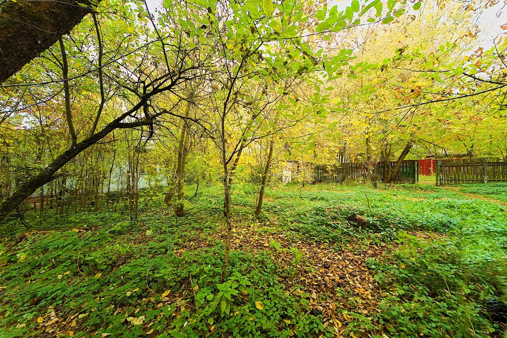 Продажа участка, Загорянский, Щелковский район, ул. Матросова - Фото 10